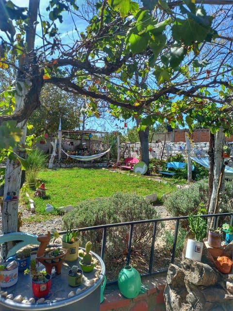 Garden view