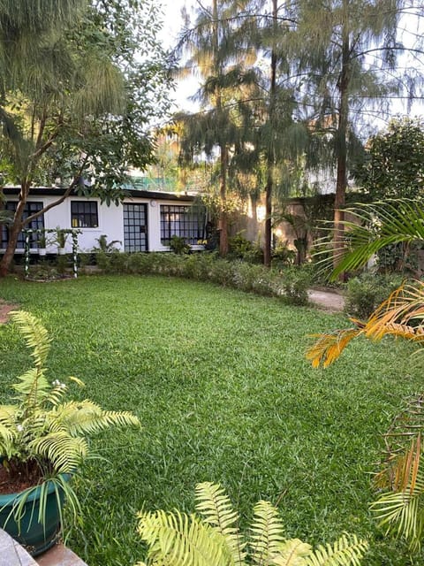 Natural landscape, Garden, Garden view