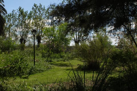 Day, Garden, Garden view