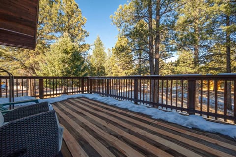 Pah's Haus Fire Pit Scenic View Dogs Welcome House in Angel Fire