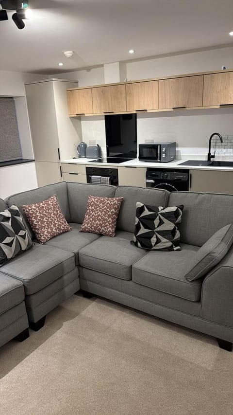 Kitchen or kitchenette, Living room, Seating area, dishwasher, microwave, washing machine