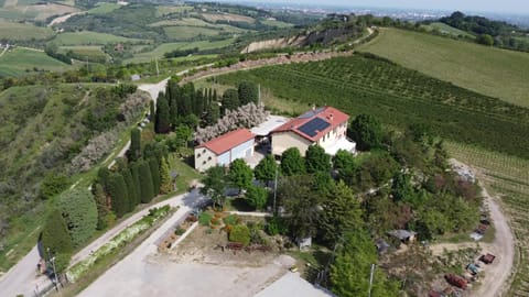 Property building, Bird's eye view
