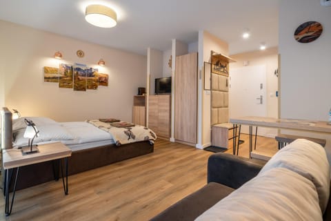 Bed, TV and multimedia, Kitchen or kitchenette, Living room, Photo of the whole room, Seating area, Bedroom, wardrobe