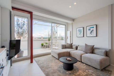 The Segovia Penthouse Royal Views Apartment in Centro