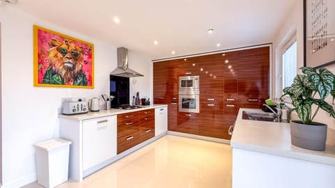 Kitchen or kitchenette, dishwasher, oven, stove