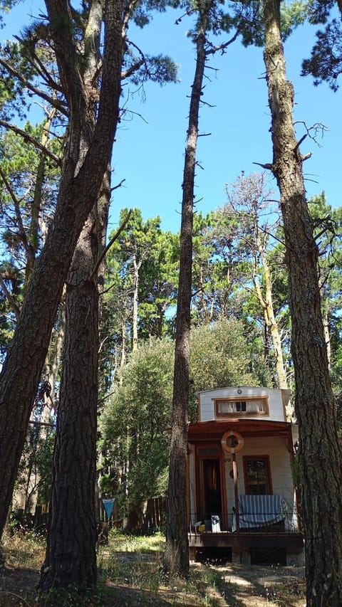 Property building, Garden view