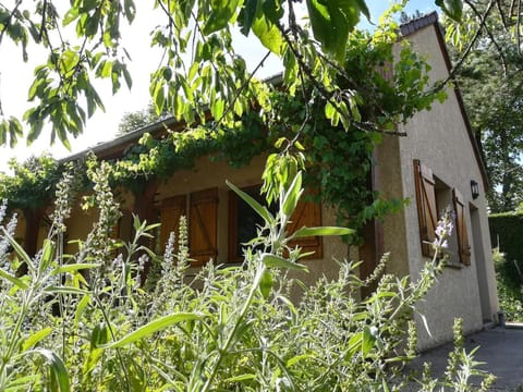 Property building, Spring, Day, Garden, Garden view