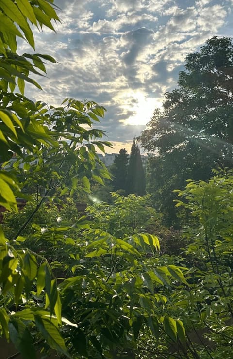 Garden view