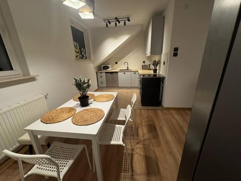 Kitchen or kitchenette, Dining area, oven, stove