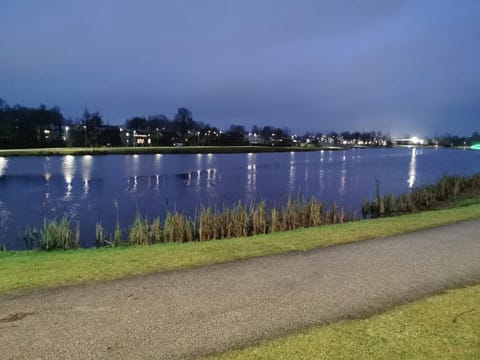 Lake view