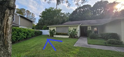 Cozy Tampa Studio Apartment Best Deal Apartment in Tampa