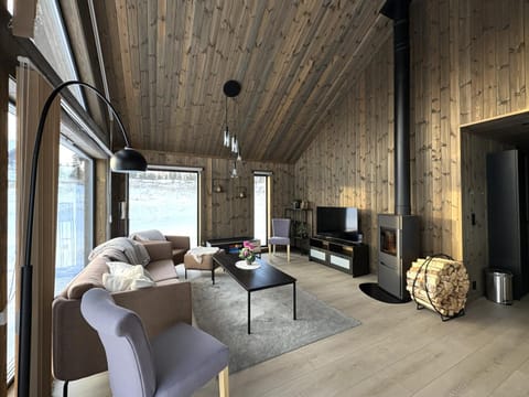 TV and multimedia, Living room, fireplace