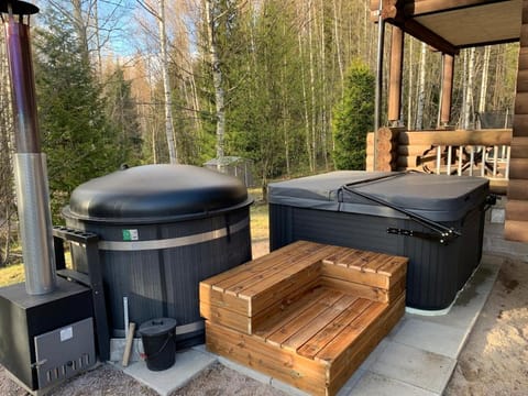 Villa Sofia Villa in Uusimaa