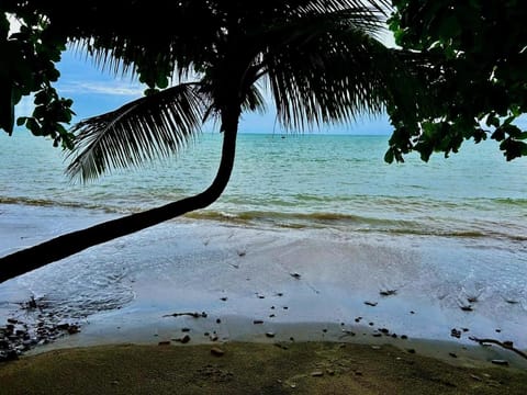 Natural landscape, Beach, Sea view