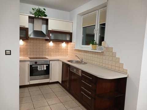 Kitchen or kitchenette, dishwasher, stove