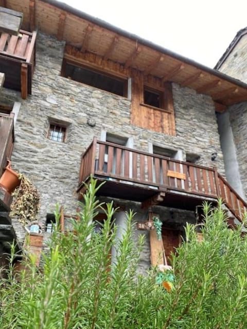 Balcony/Terrace, Garden view