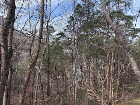 Day, Natural landscape, View (from property/room), View (from property/room)