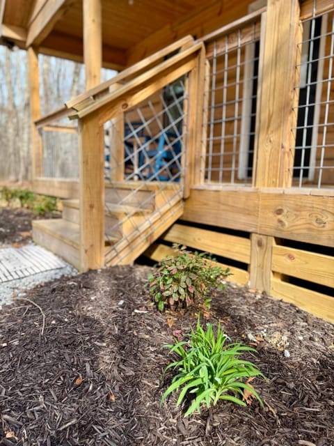 Coyote Den House in Fort Payne