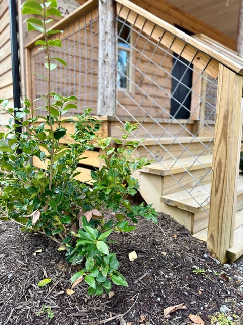 Deer Trail House in Fort Payne