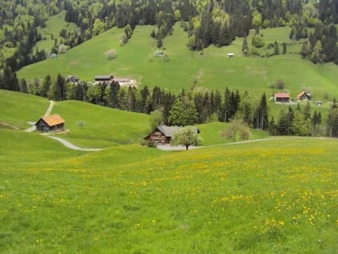 Spring, Day, Natural landscape