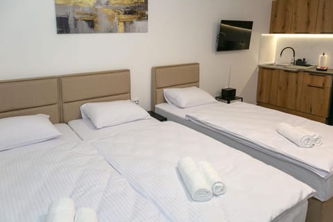 Apartmani SM Zrenjanin Apartment in Timiș County