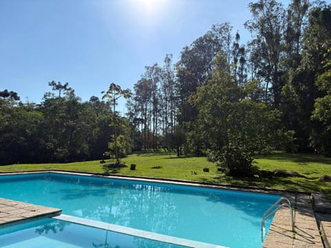 Day, Natural landscape, Garden, Garden view, Pool view, Swimming pool, sunbed