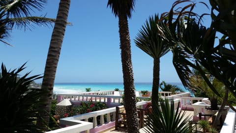 Garden, Balcony/Terrace, Decorative detail, Sea view