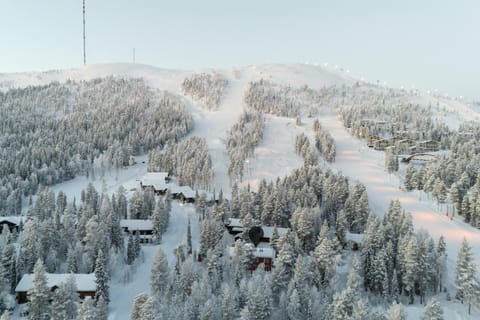 Pyhäkoti A - 30 Meters From the Slopes Apartment in Rovaniemi