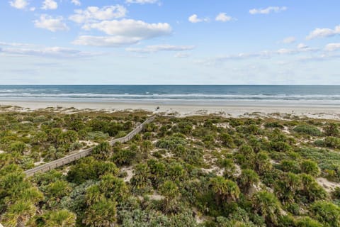 Minorca Andros 803 House in New Smyrna Beach