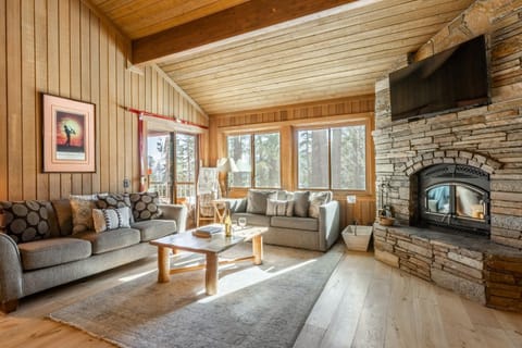 Day, TV and multimedia, Living room, fireplace, furniture