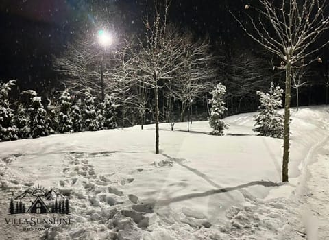 Night, Natural landscape, Winter