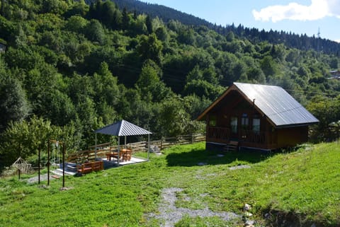 Property building, Garden