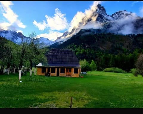 Property view