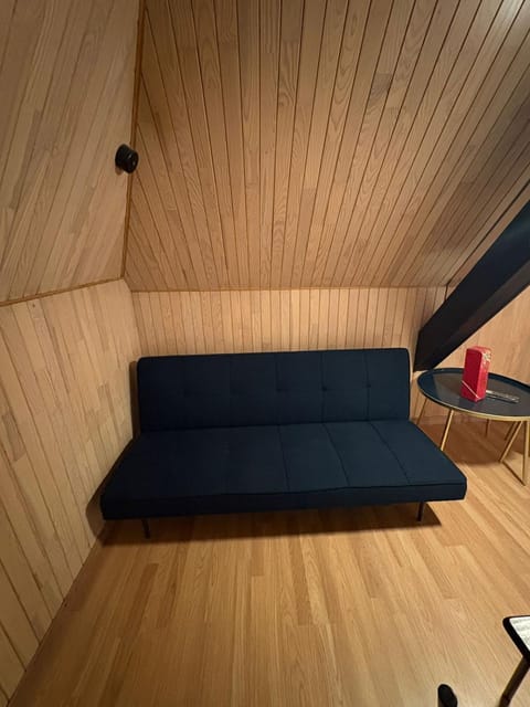 Maison de maitre 3 chambres Apartment in Illkirch-Graffenstaden