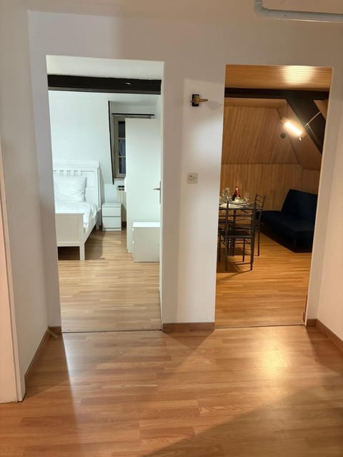 Maison de maitre 3 chambres Apartment in Illkirch-Graffenstaden