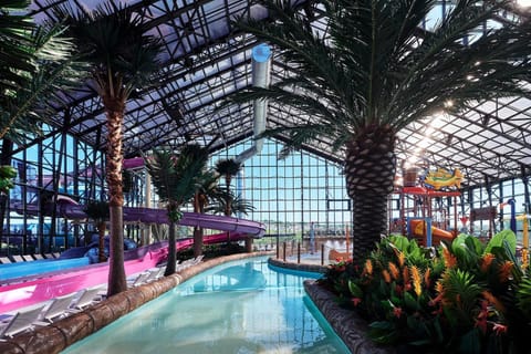 Aqua park, Swimming pool