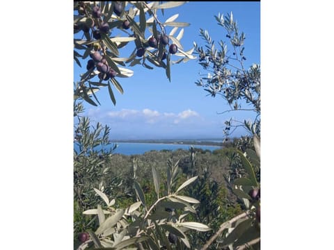 Spring, Summer, View (from property/room), Autumn