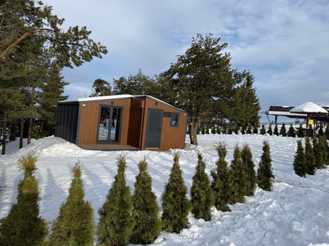 Tornik Sky Gondola House in Zlatibor District, Serbia
