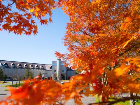 Property building, Autumn