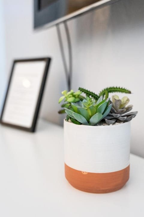 Entire house Pet Friendly w gated backyard Boeing House in Renton