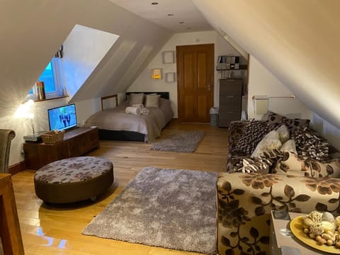 Bed, TV and multimedia, Living room, Seating area, Bedroom