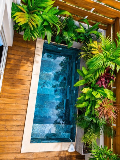 Natural landscape, Garden, Garden view, Pool view, Swimming pool