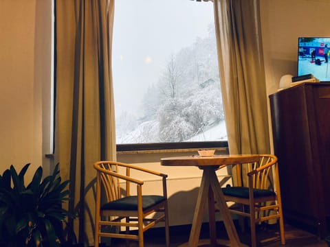 primiero-suite 45mq Bed and Breakfast in Trentino-South Tyrol