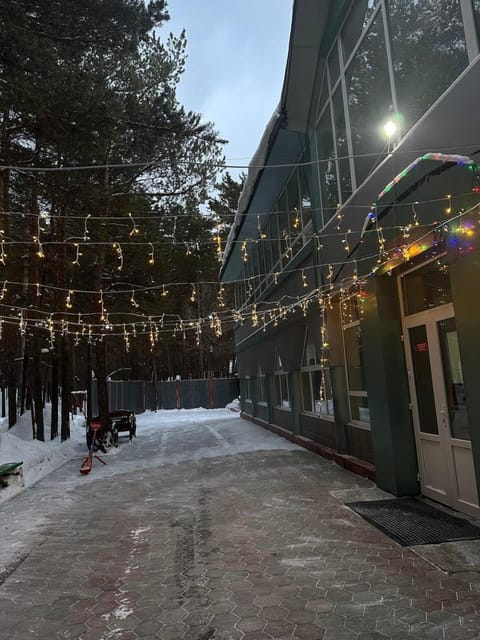 Property building, Winter, Garden, Street view