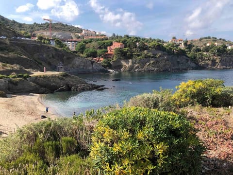 Nearby landmark, Natural landscape