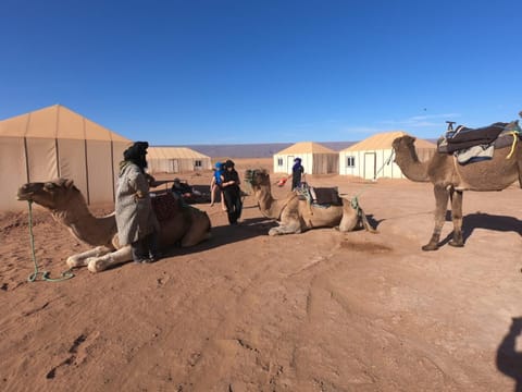 Property building, People, Natural landscape, group of guests