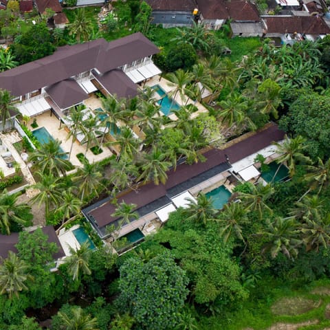 Neighbourhood, Bird's eye view
