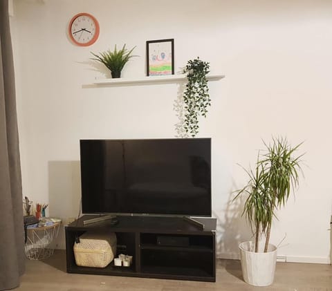 TV and multimedia, Evening entertainment