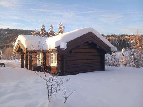 Property building, Winter, Mountain view