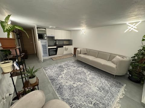 Kitchen or kitchenette, Seating area, oven, stove